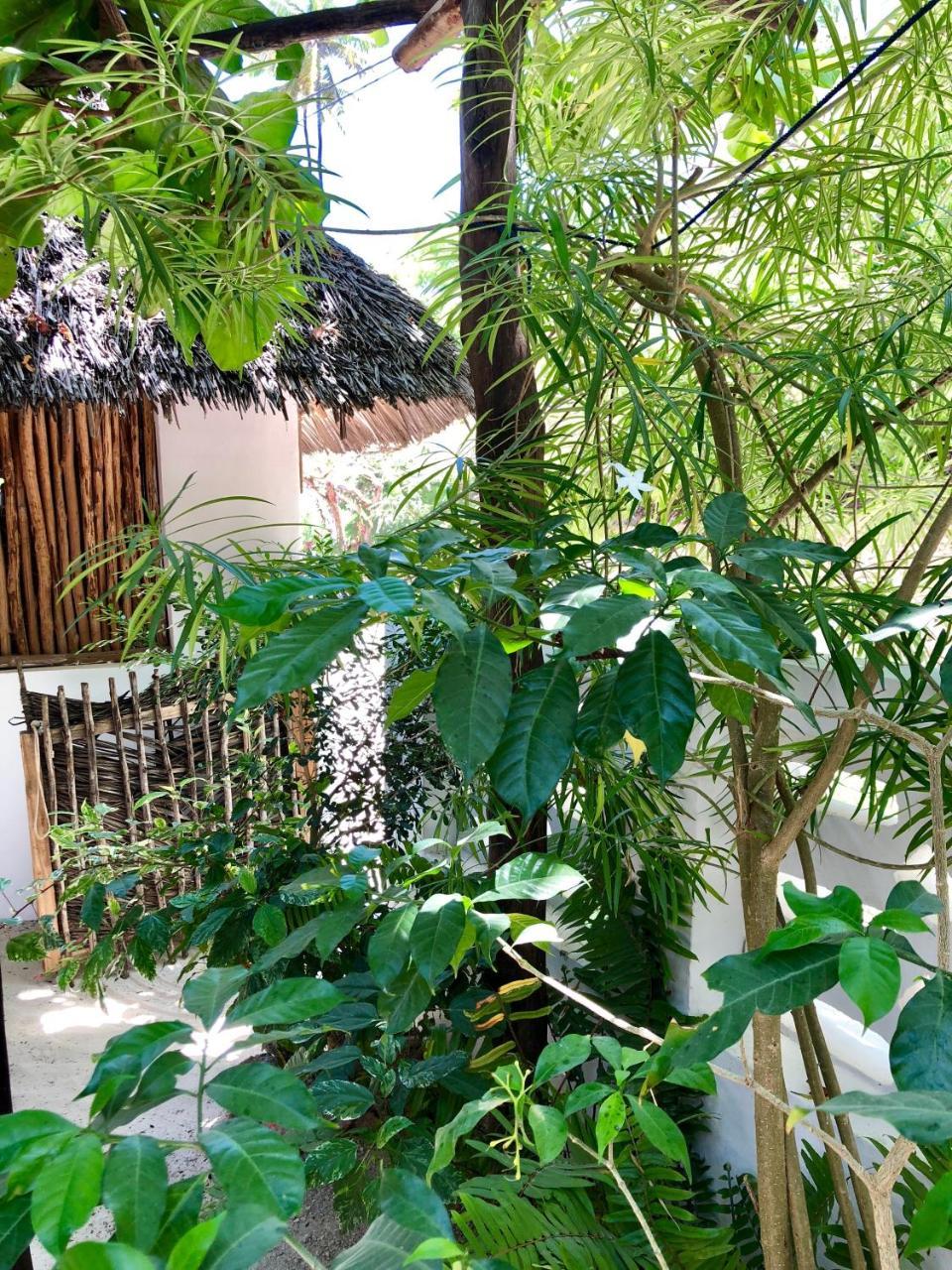 Zanzistar Lodge Jambiani  Exterior photo